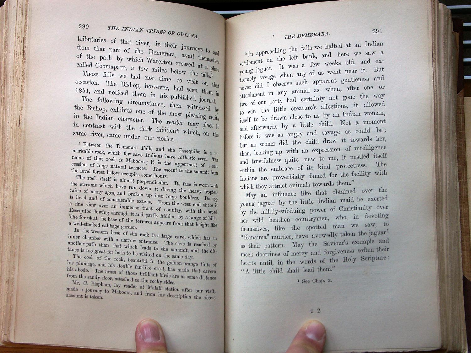 zz-bret68,s.290 rupicola